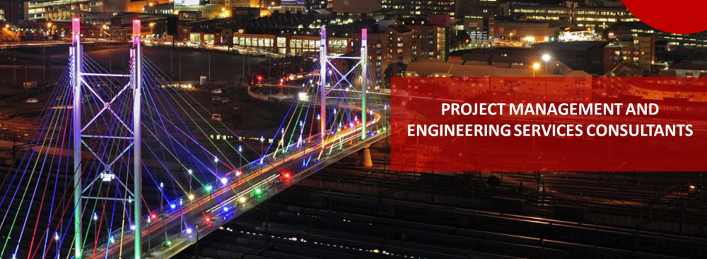 Effective Solutions addressing challenges for Africa in a global world